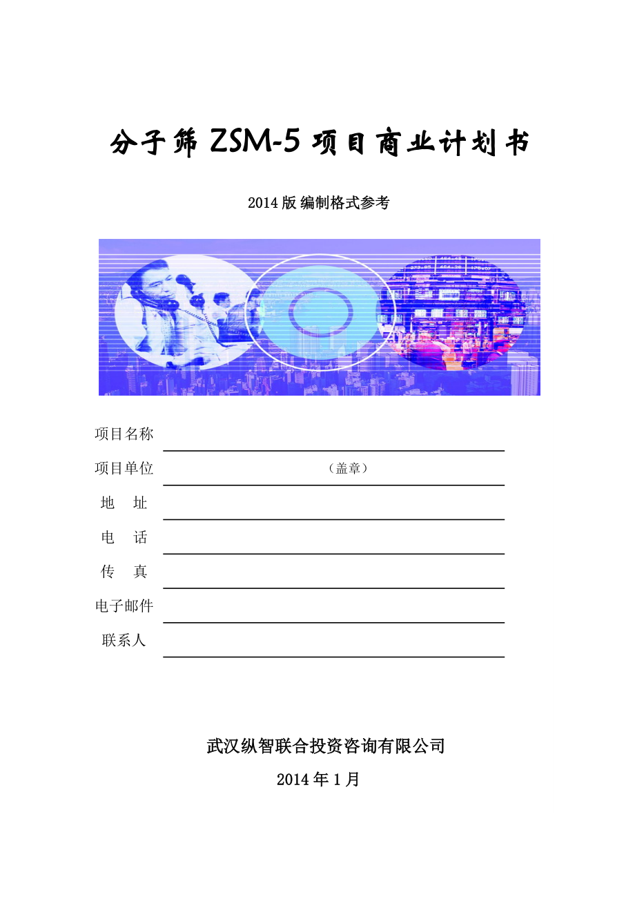 分子筛ZSM5商业计划书().doc_第1页