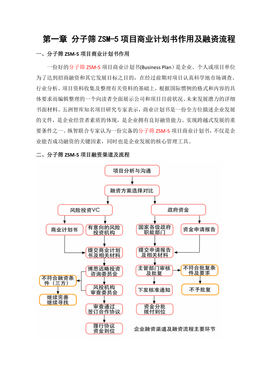 分子筛ZSM5商业计划书().doc_第3页