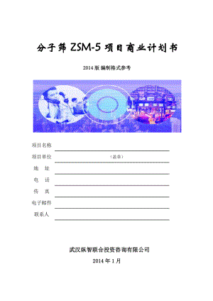 分子筛ZSM5商业计划书().doc