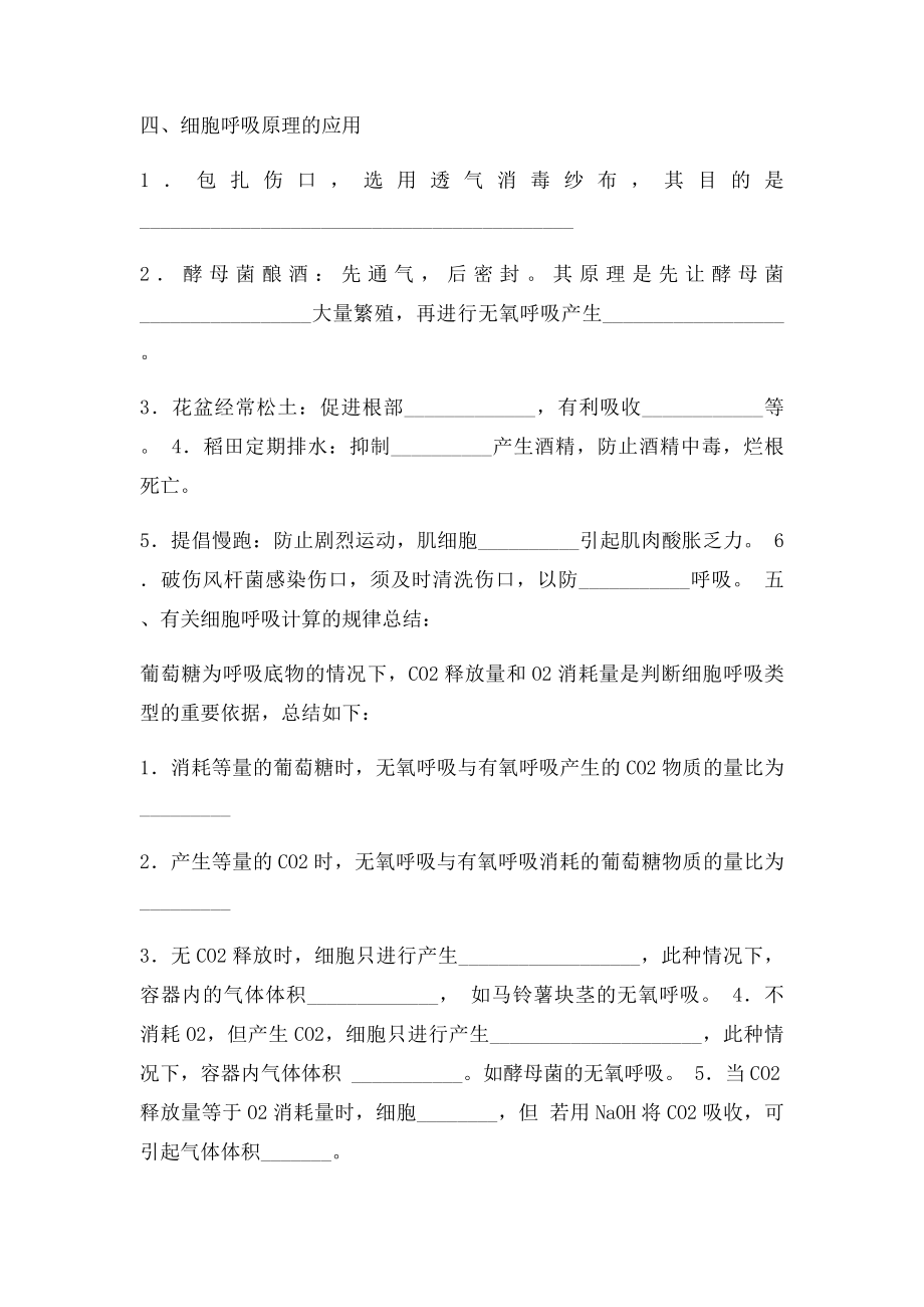 呼吸作用知识点.docx_第3页