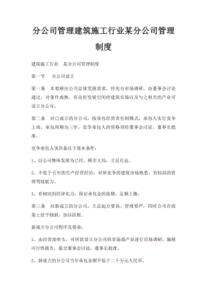 分公司管理建筑施工行业某分公司管理制度.docx