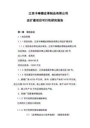 生产皮革制品项目可行性研究报告.doc