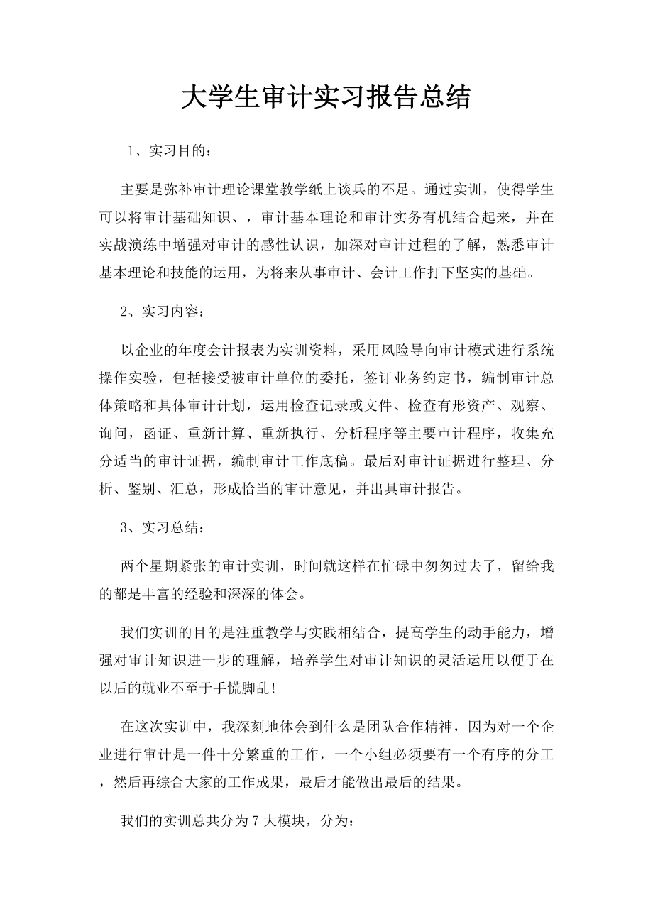 大学生审计实习报告总结.docx_第1页