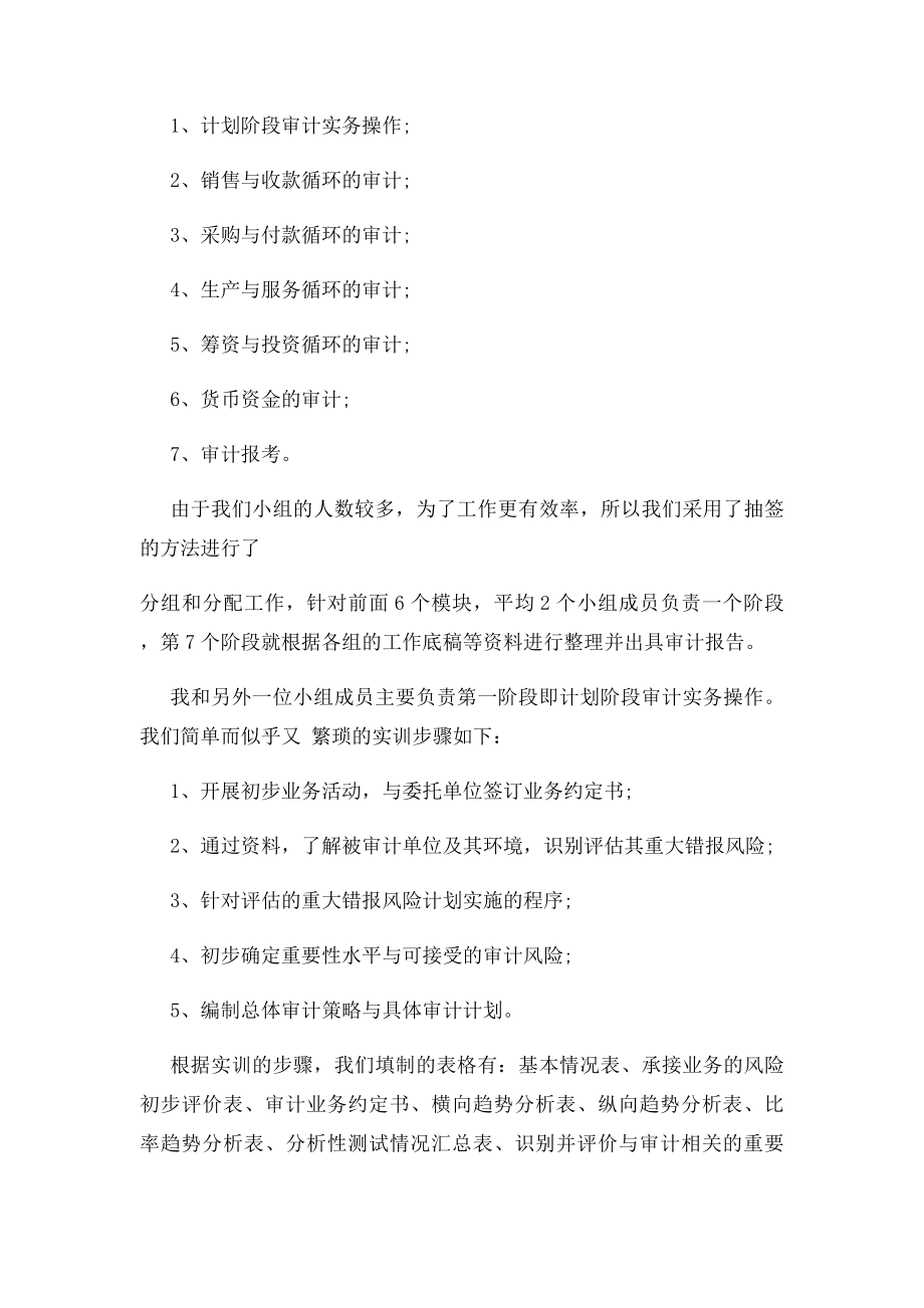 大学生审计实习报告总结.docx_第2页