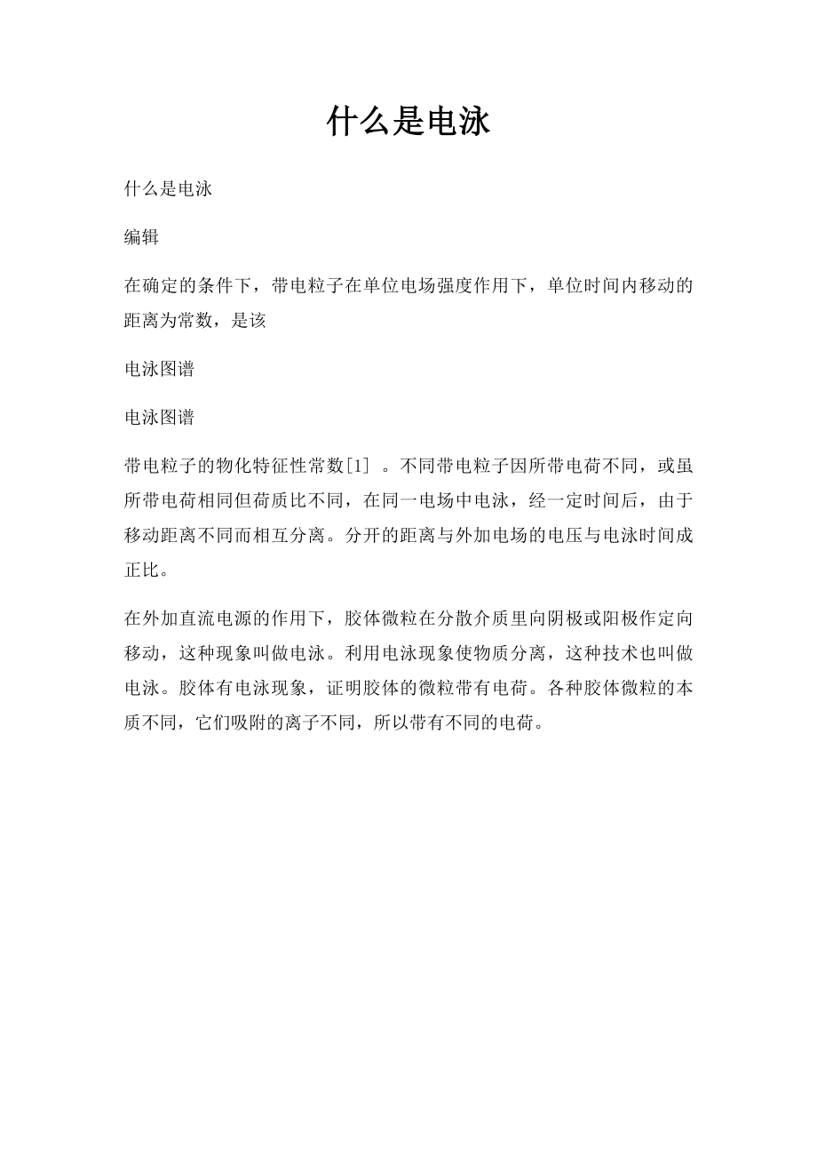 什么是电泳.docx_第1页