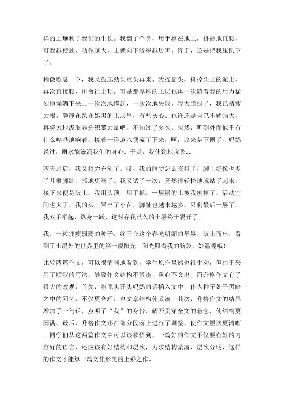 升格作文调整文章结构,力求行文紧凑.docx_第3页