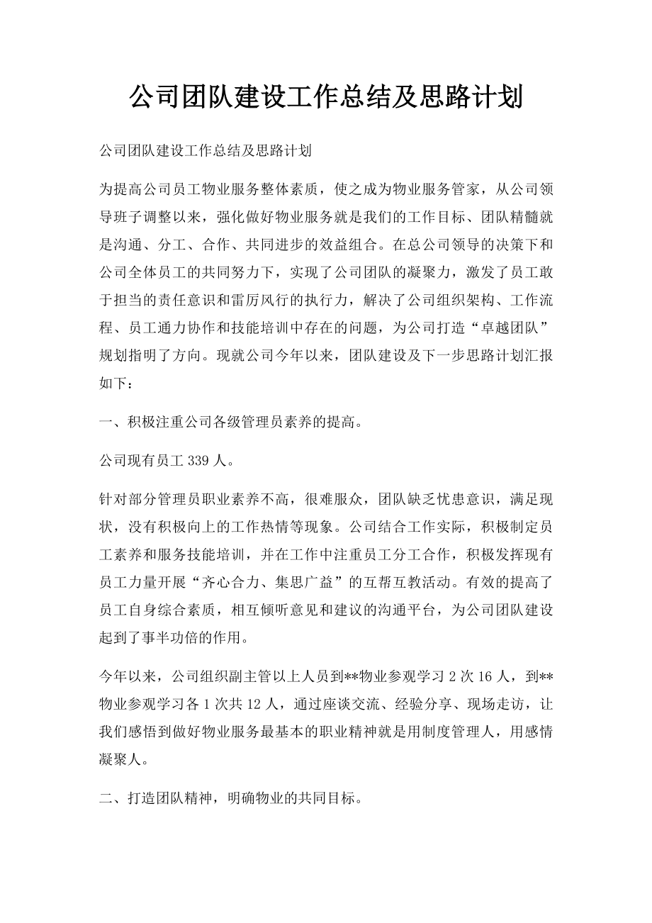 公司团队建设工作总结及思路计划.docx_第1页