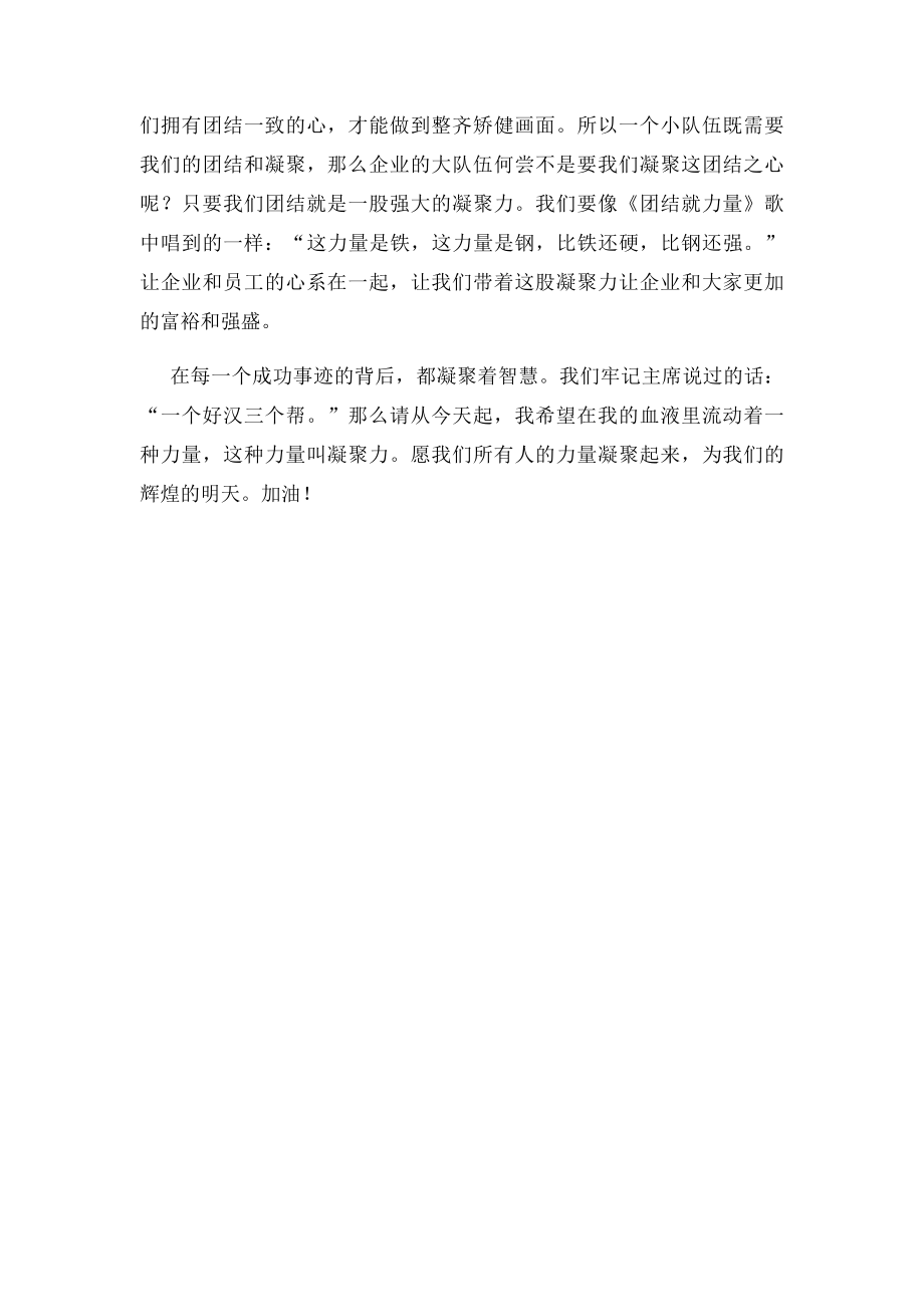 团结就是力量《凝聚力》发言稿.docx_第2页