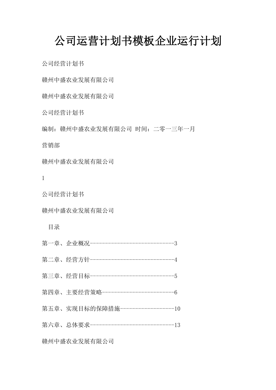 公司运营计划书模板企业运行计划.docx_第1页