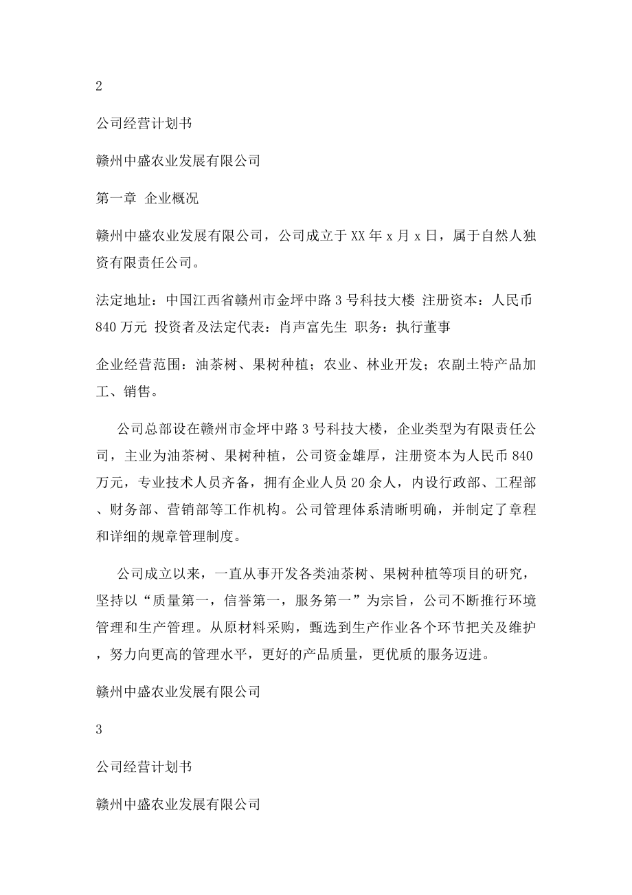 公司运营计划书模板企业运行计划.docx_第2页