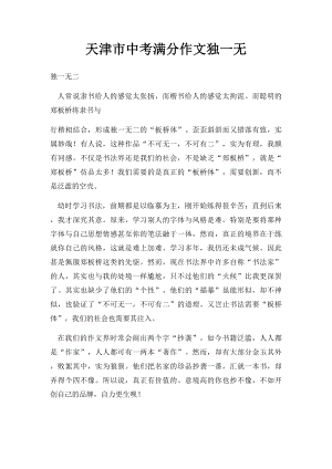 天津市中考满分作文独一无.docx