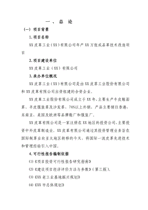 产万张成品革技术改造项目可行性研究报告.doc