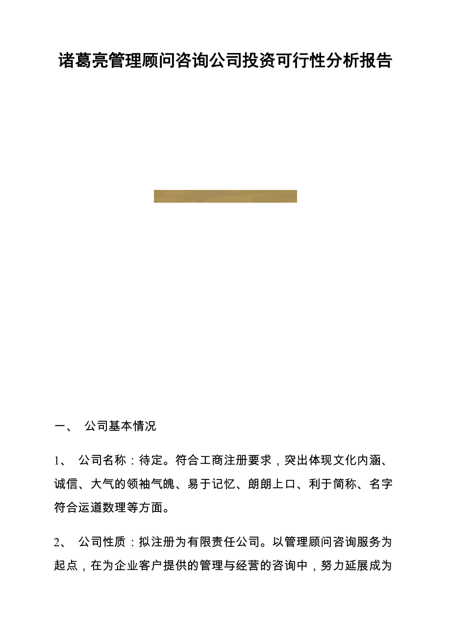 管理咨询公司投资可行性分析报告.doc_第1页