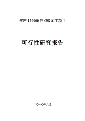 产120000吨CMS加工项目可行性研究报告.doc