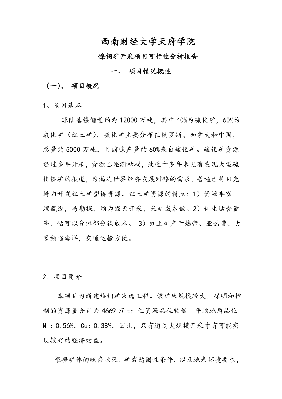 镍铜矿开采项目可行性分析报告.doc_第1页