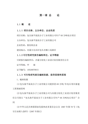 产60万吨电石项目可研报告.doc