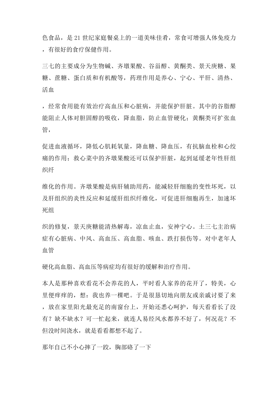 吃三七功效很不错.docx_第2页