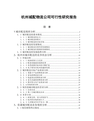 杭州城市(物流)配送公司可行性研究报告.doc