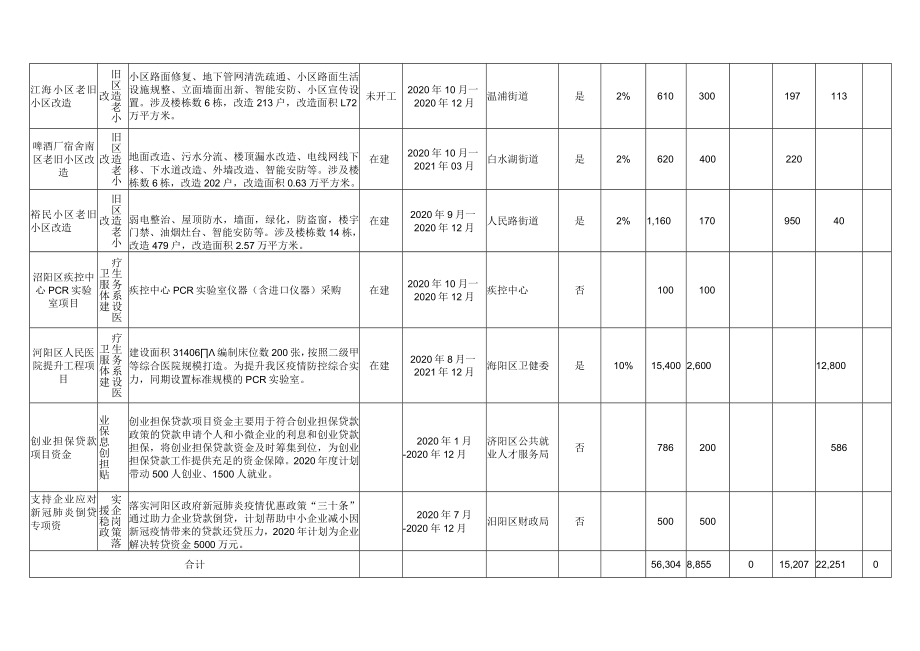 浔阳区抗疫特别国债资金安排项目汇总表.docx_第2页