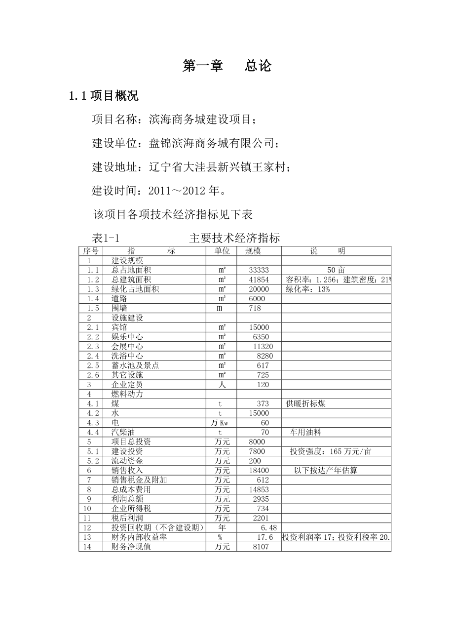 滨海商务城建设可行性研究报告.doc_第1页