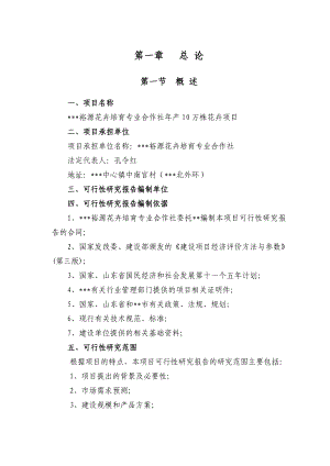 产10万株花卉项目可行性研报告.doc