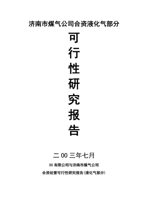 液化气经营项目可行性研究报告资料.doc