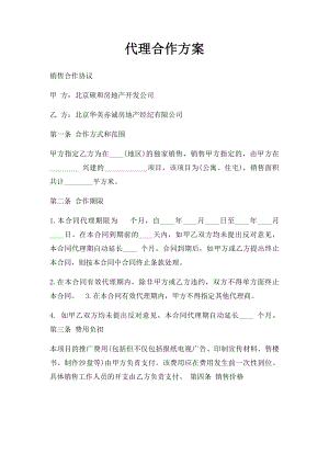 代理合作方案.docx