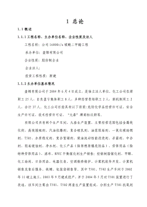 某公司产16000吨碳酸二甲酯工程项目可行性研究报告－100页推荐优秀甲级资质可研报告.doc