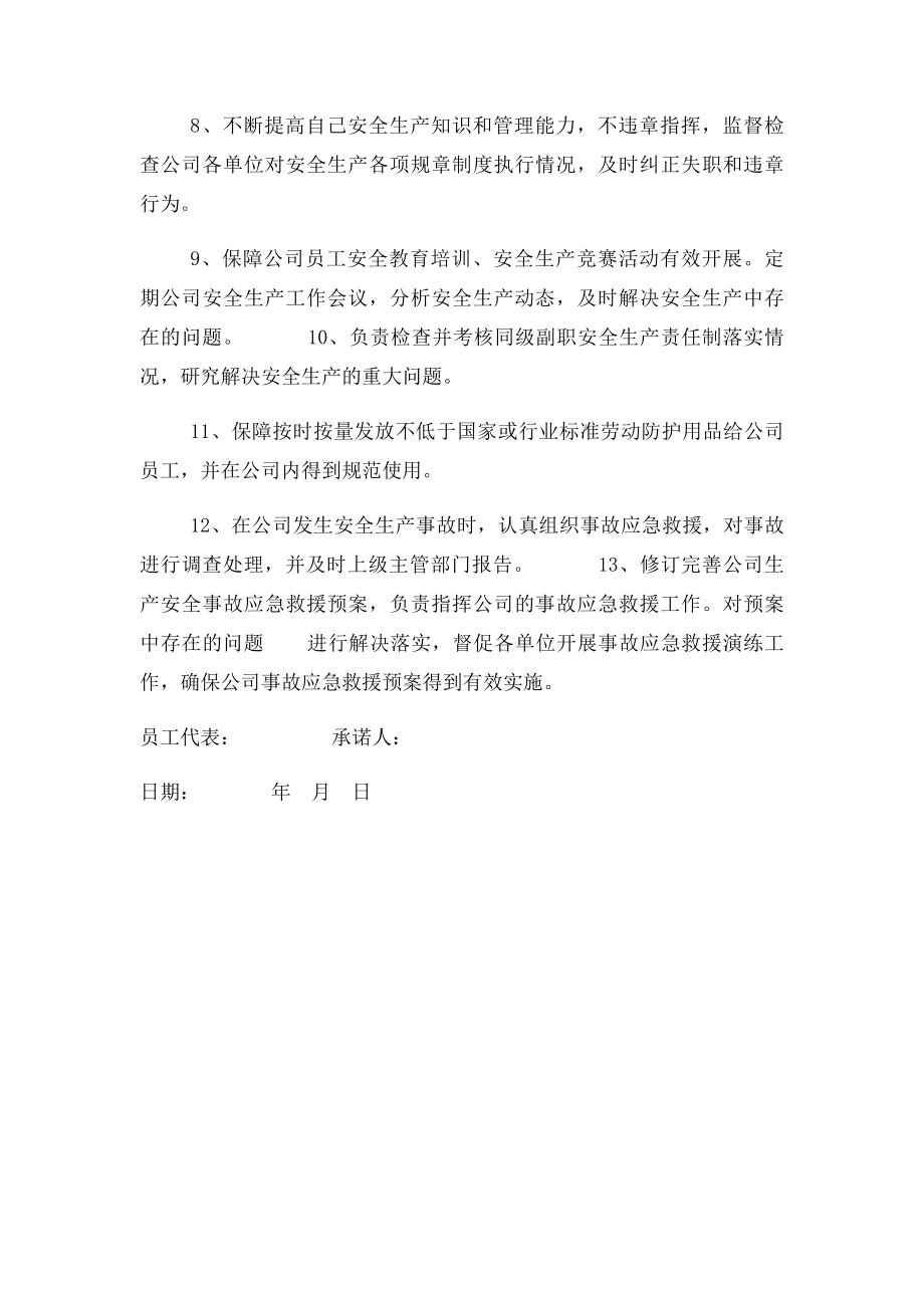 企业主要负责人安全承诺书(1).docx_第2页