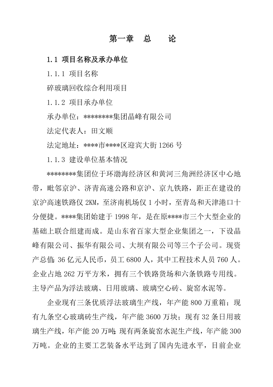 碎玻璃回收综合利用项目可行性研究报告书－word版本.doc_第1页