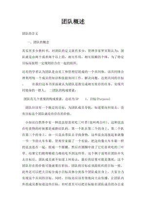 团队概述.docx