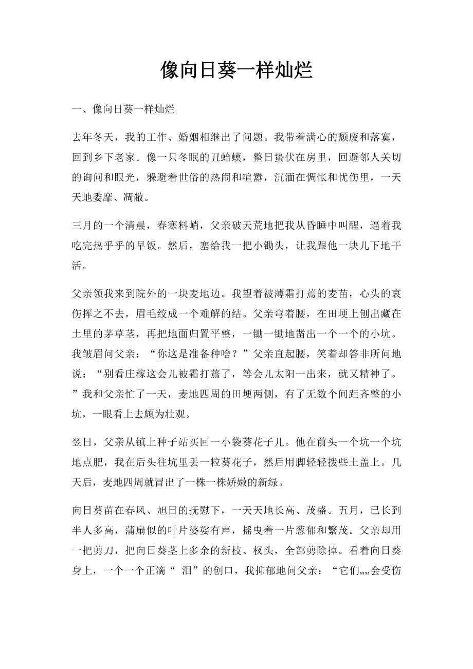 像向日葵一样灿烂.docx_第1页