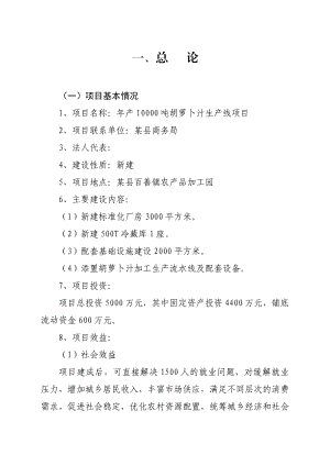 产10000吨胡萝卜汁生产线项目可行性研究报告.doc