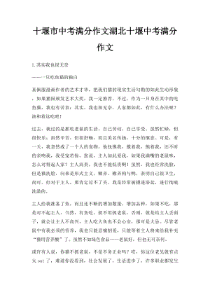 十堰市中考满分作文湖北十堰中考满分作文.docx