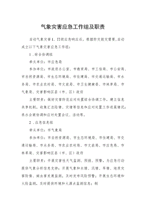 气象灾害应急工作组及职责.docx