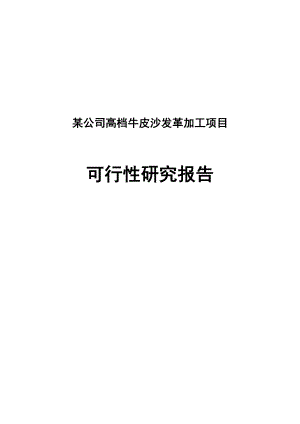 某公司高档牛皮沙发革加工项目可行性研究报告.doc