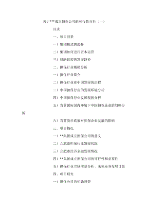 成立担保公司的可行性分析.doc