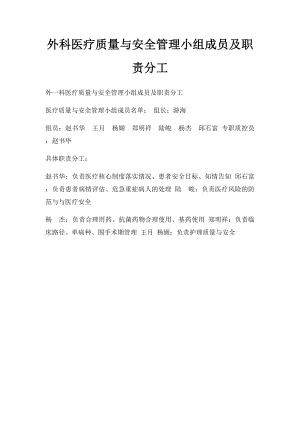 外科医疗质量与安全管理小组成员及职责分工.docx