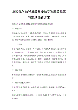 危险化学品和易燃易爆品专项应急预案和现场处置方案.docx