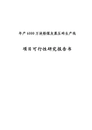 产6000万块粉煤灰蒸压砖生产线项目可行性研究报告书.doc