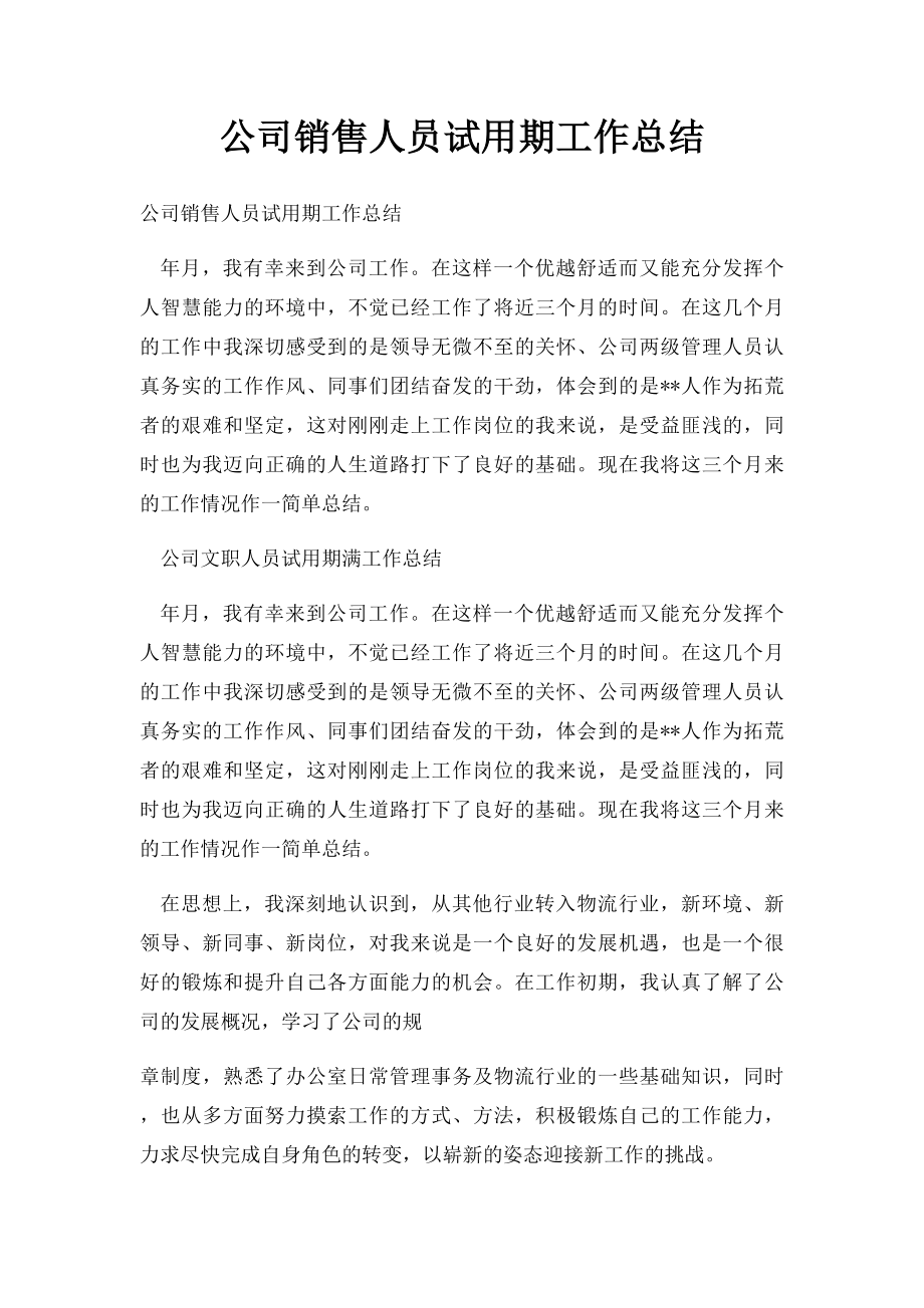 公司销售人员试用期工作总结.docx_第1页