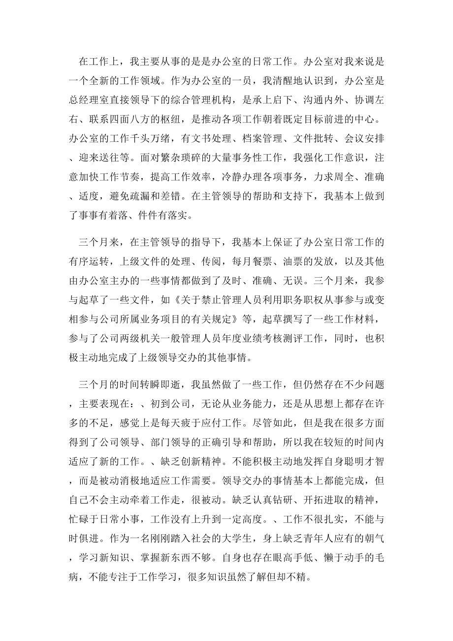 公司销售人员试用期工作总结.docx_第2页