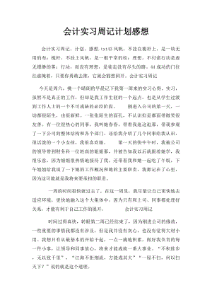 会计实习周记计划感想 .docx