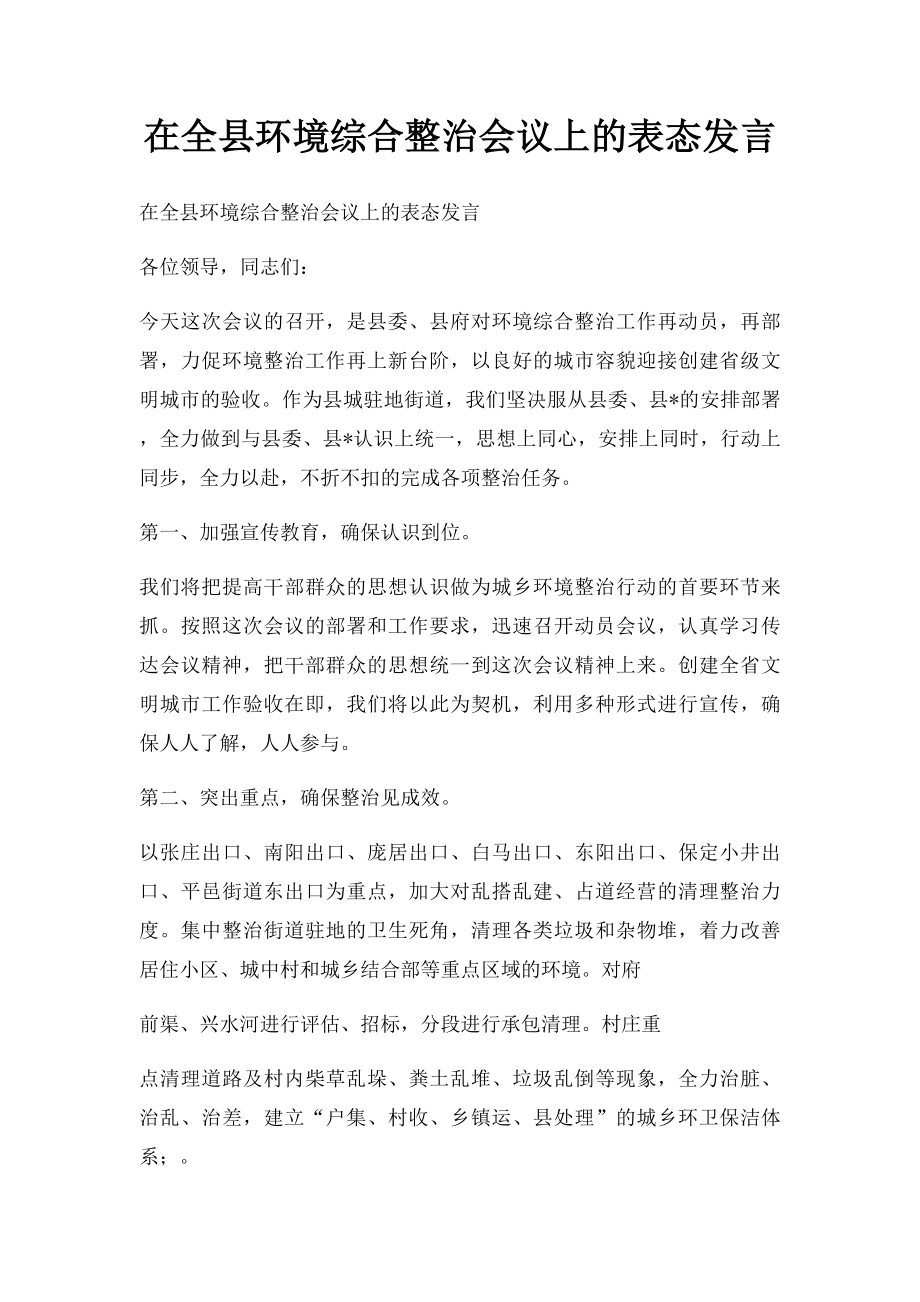 在全县环境综合整治会议上的表态发言.docx_第1页