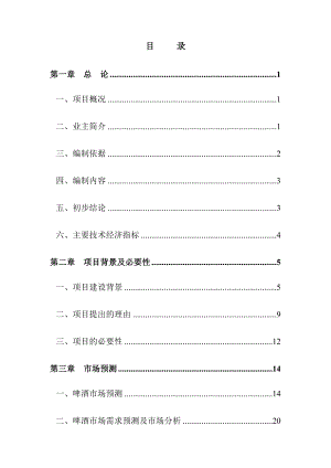 啤酒生产线扩能技术改造项目可行性研究报告.doc