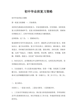 初中毕业班复习策略.docx