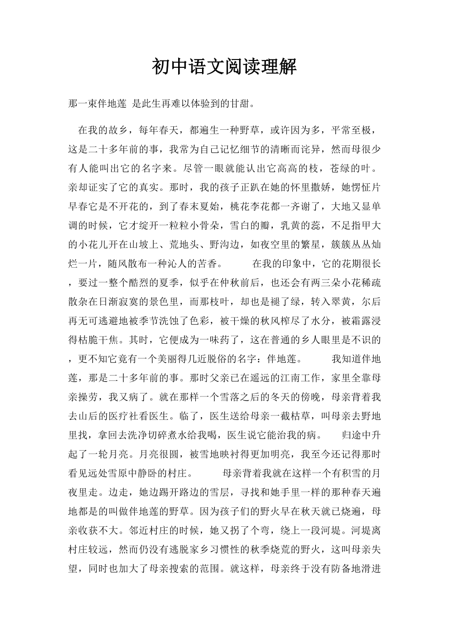 初中语文阅读理解.docx_第1页