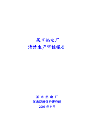 1995某热电厂清洁生产审核报告.doc