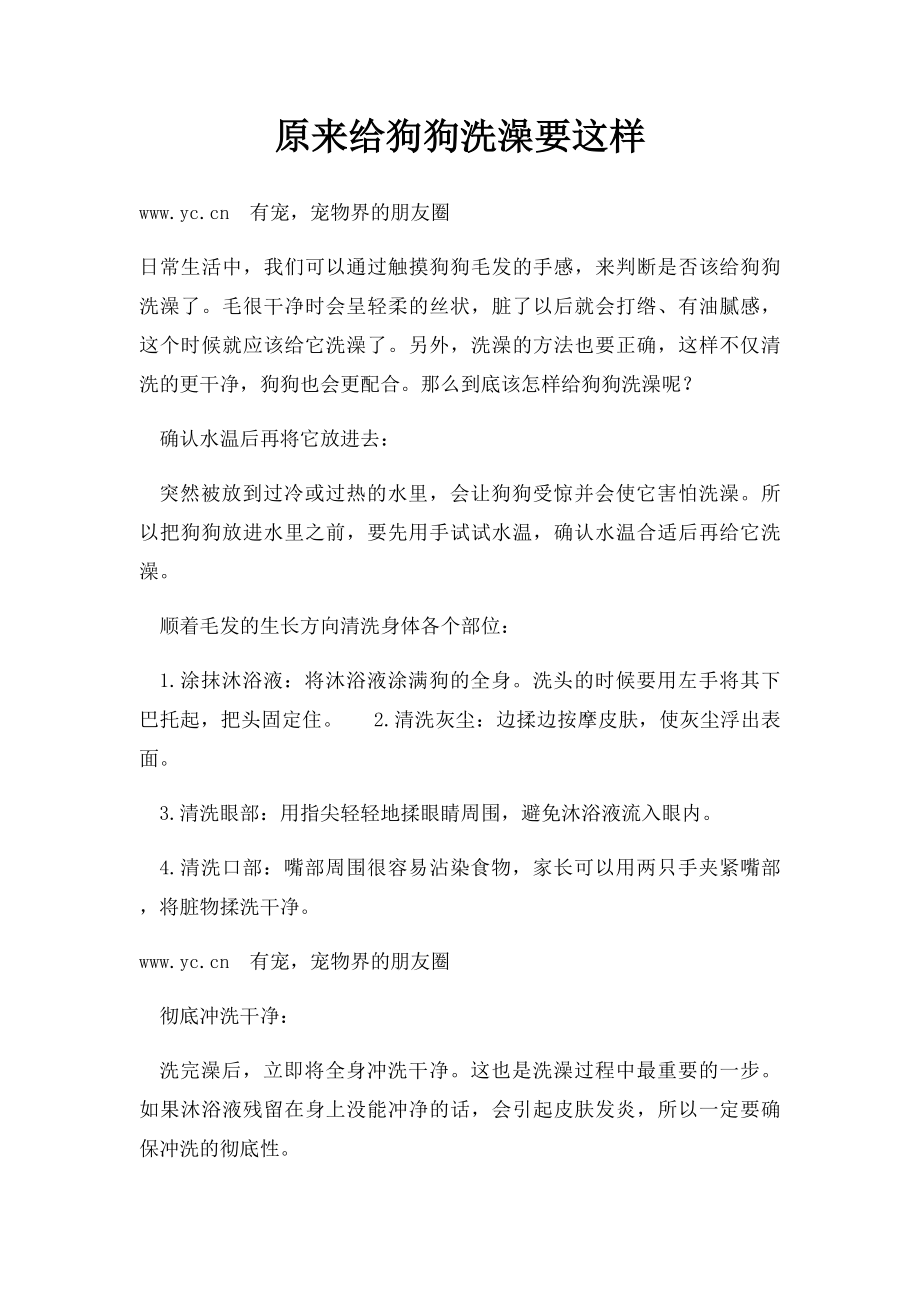 原来给狗狗洗澡要这样.docx_第1页