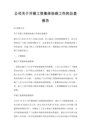 公司关于开展工资集体协商工作的自查报告.docx